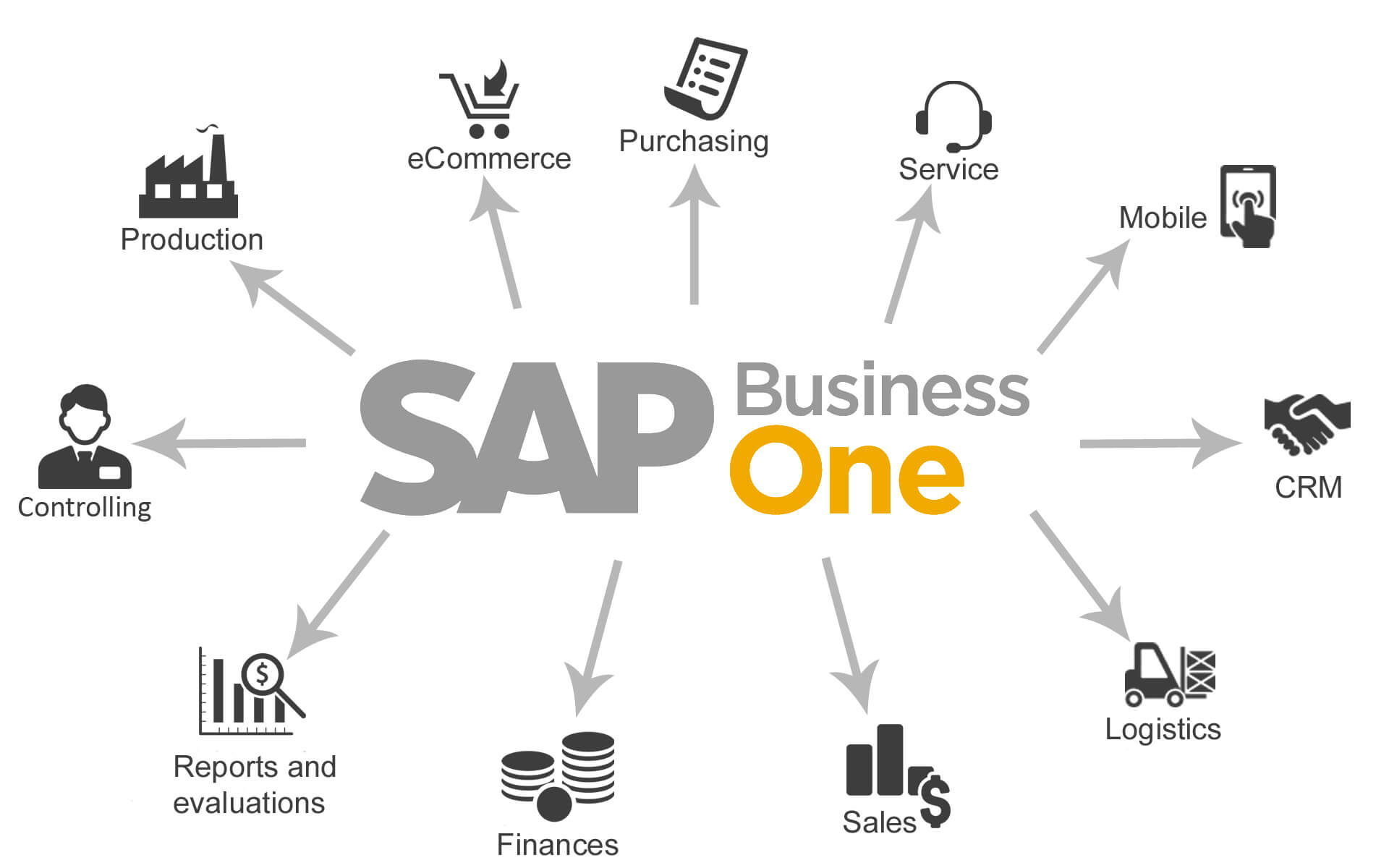 sap business one best practices